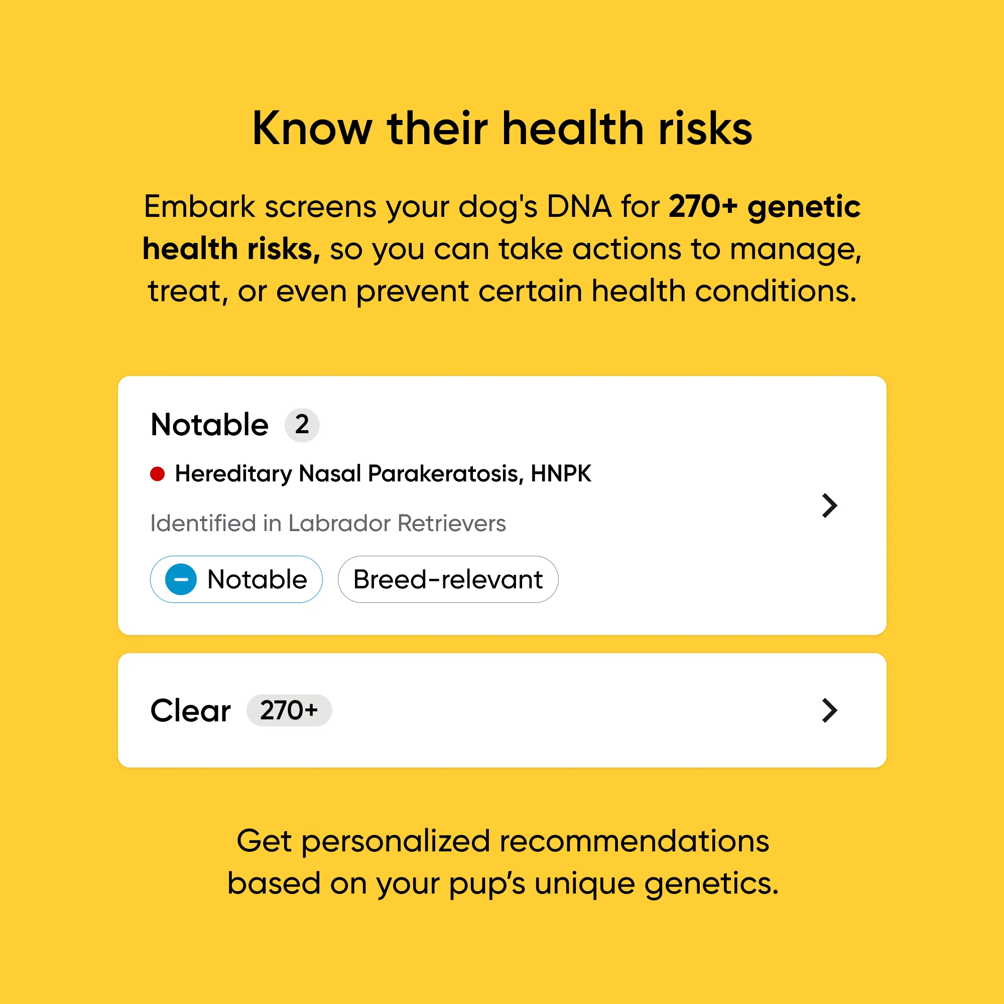 Breed + Health Test 2-Pack - Image 4