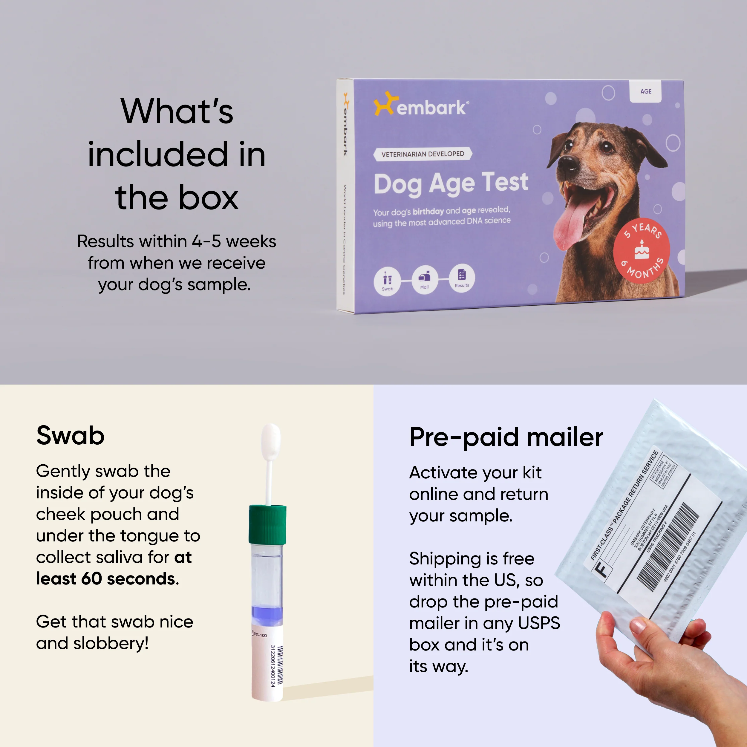Dog Age Test - Image 4