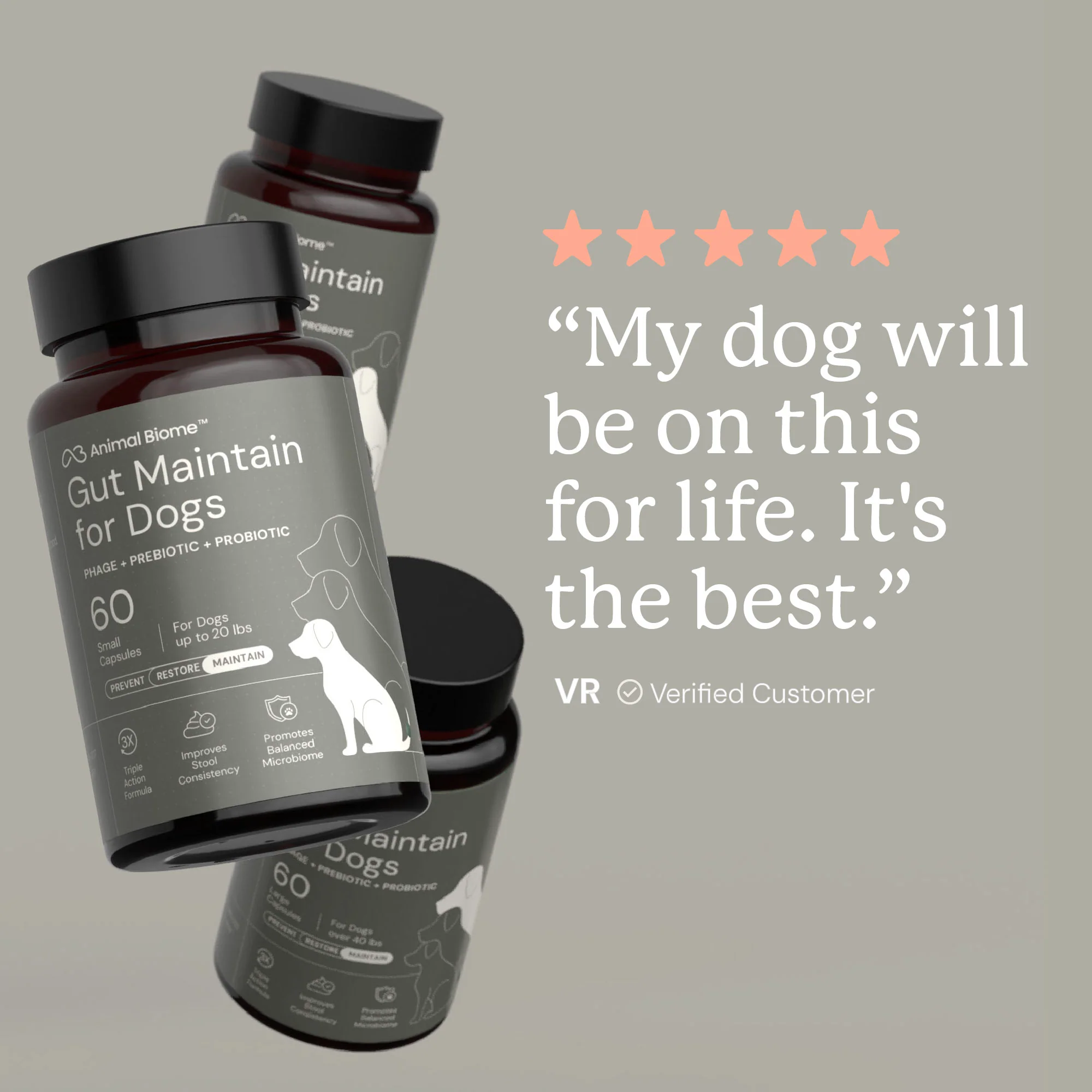 Gut Maintenance Plus Supplement - Image 10