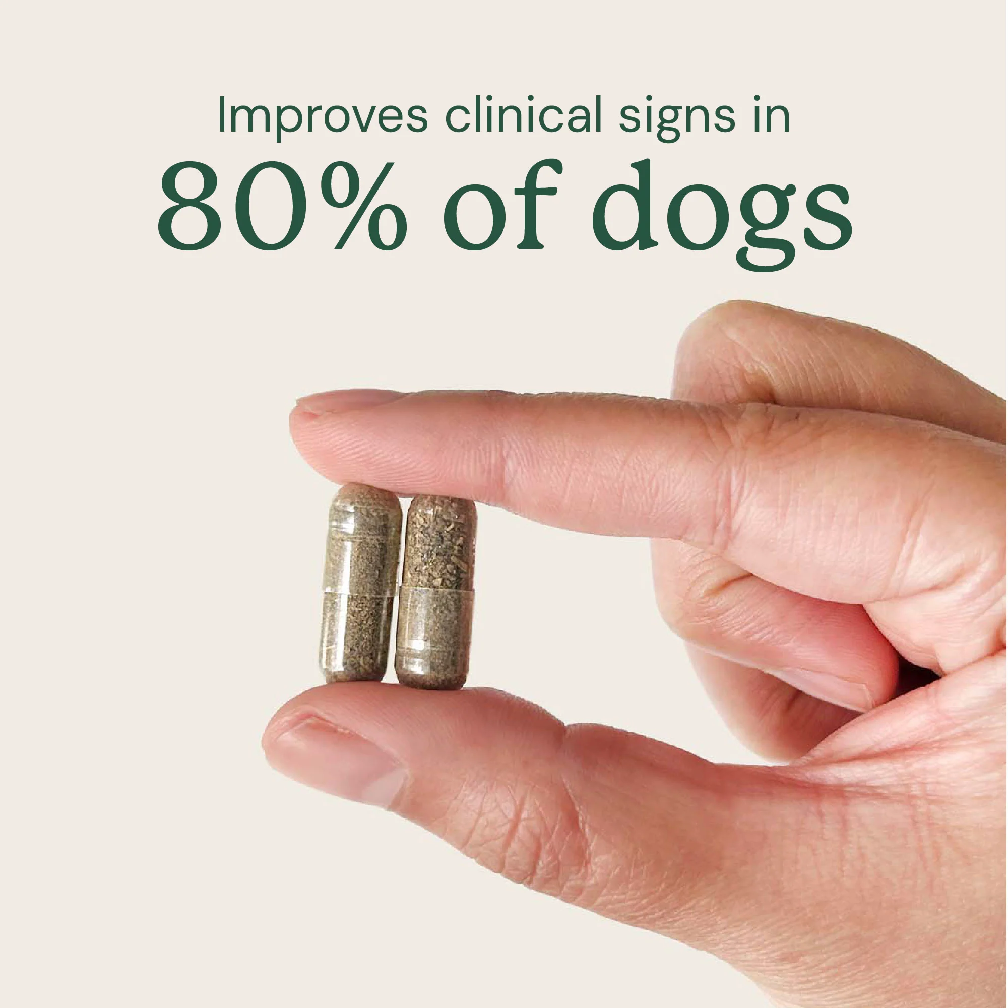 Gut Restore Supplement for Dogs - Image 9