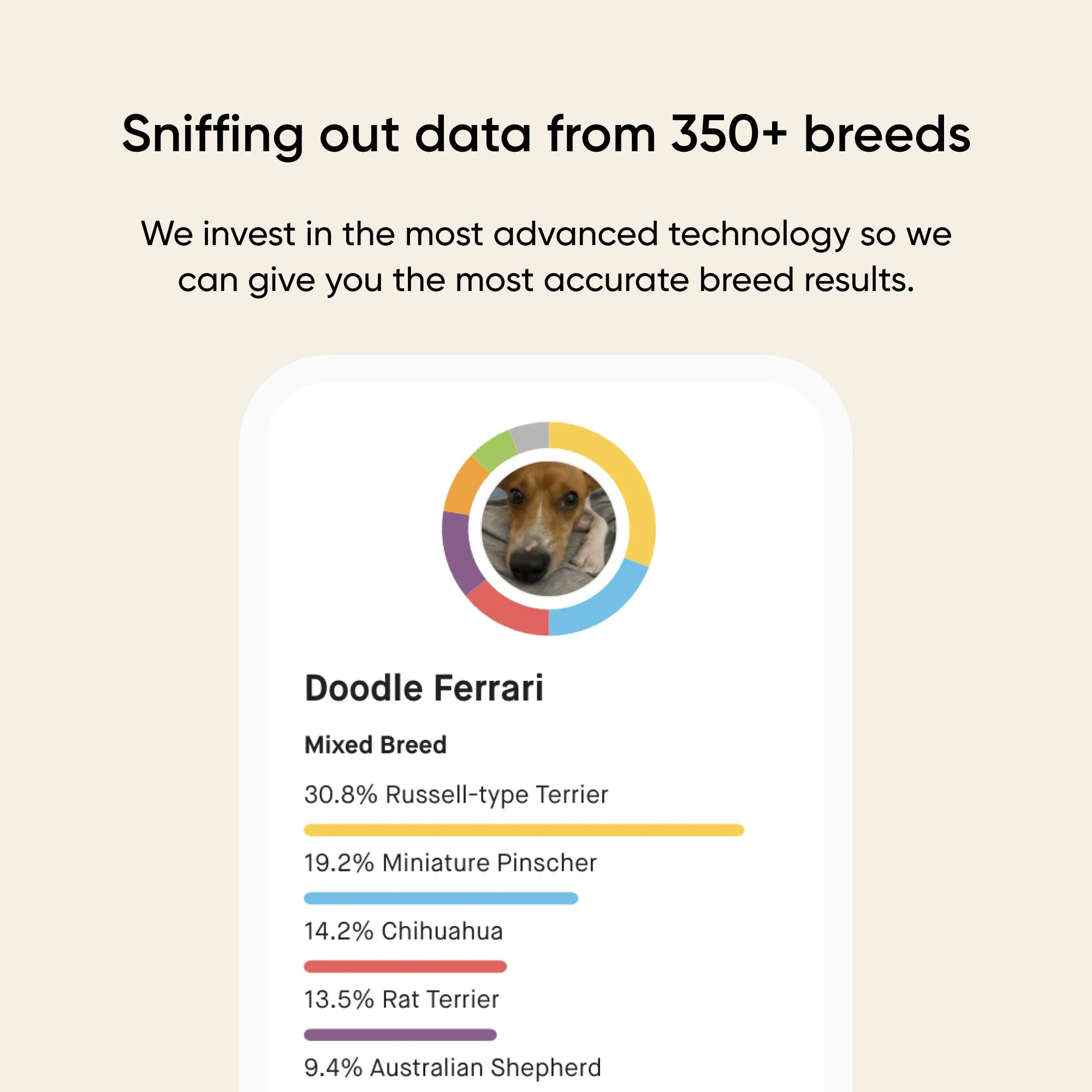 Embark dog DNA test kits - Image 7